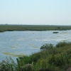 река Дон. Автор: edus