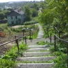 Ул.Чехова, западная лестница. Автор: alexanmasov