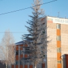 Berdsk Road Police office block (Здание ГАИ г.Бердска). Автор: PALLYCH72