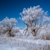Зима. Автор: Sergey V.R.