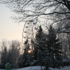 Зимний пейзаж с колесом обозрения. Автор: Belova Galina