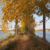 Дамба осенью, река Кама, г. Чистополь. Автор: tania_syvorkova