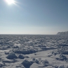 Вид на берег зимой. Автор: 000.999