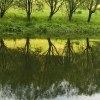Рожайке River.Reflection. Автор: Dubovaya Natalia