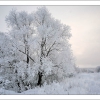 Зима. Автор: Stroganov Alexey