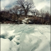 Магический дуб. Вид с волги. Magic oak. View from the Volga. Автор: Immanuil ©