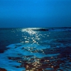 Ночное море возле Djankhot. Автор: aklyuch