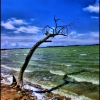 Соляные озера Мойнаки. Автор: Arkadiy_