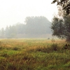 Прекрасное поле вокруг Гдов. Автор: Aviatori.lv