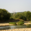 Жарким, сухим летом 2007 года, река Pshish. Автор: soninalena
