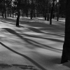 Zima w parku. Автор: Anna Bednaruk