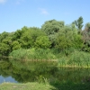река Тулучеевка. Автор: anchast