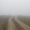 Проселочная дорога, туман. Автор: JVNphoto