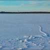 Кондопога. Морозным днём на озере. Автор: Nikitin_Sergey
