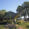 Апатозавр. Автор: MILAV