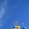 Купола церкви явления Казанской иконы Божией Матери. Оптина-Пустынь. Автор: **masterpoley**