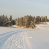 Лыжная трасса, Красавино. Автор: evghenim