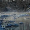 река Куса, утки. Автор: maxim-tashkinov