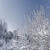 Зимний пейзаж. Автор: Aleksandr Kapustin