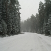 Зимняя дорога. Автор: AGrigoryev