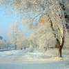 Зима,Минусинск. Автор: Роман Камышин