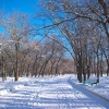 Нарткала Зима. Nartkala. Winter. Автор: Peshkov Sergey