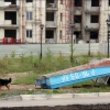 Новостройка, лодка и пёс. Автор: Marina Lystseva