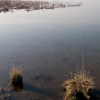 Озеро под Октябрьским. Автор: Korotnev AV