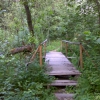 Деревянный мостик через ручей. Автор: juceser