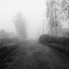 Отрадное \ Туман. Автор: DanPo