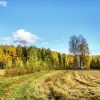 Дерновая аллея золотой осенью. Автор: Rodion Surkov
