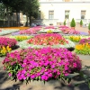 Павловск. Собственный сад, императрица Мария Федоровна. Автор: oP_Timo