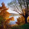 Река Молога. Осень. Автор: Владимир Шутов