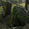 Легенды старой Пруссии – Камень Лжи в лесу рядом с Пионерским. Автор: White1