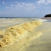 Волны жёлтого моря. Море в сосновой пыльце около посёлка Рыбное. Автор: White1