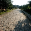 Улица Б.Садовая, конец (Правдинск, 2004). Автор: friedland