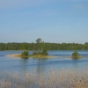 Озеро Вуокса. Фото: Марина Егорова