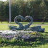 Скульптура вертикального озеленения «Влюблённые лебеди». Автор: MONAX