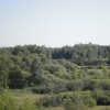 Местность и леса вблизи Rochal'. Автор: mhjmg