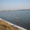 Крым, Саки&#039;07 соленое озеро. Автор: olgeshna