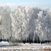 Фрязино. Зима.  Fryazino. The Winter. Автор: Yuriy Rudyy