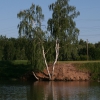 Орловский пруд. Автор: Vened_s