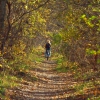 Осенний лес «Mamajsky». Автор: Chetverikov_S_E