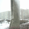 Памятник советскому обувному производству. Автор: Gigapixel