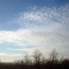 Небо над Тосно. Автор: MrStepanovka