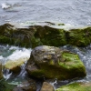 Море и камни. Автор: EugeneOst