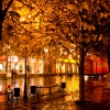 Осенний город.Г. Тверь. Автор: Dubovaya Natalia
