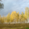 Осенний лес. Автор: alexivan