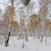 Бурятия, зима в сентябре. Автор: Oleg Shubarov