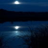 Лунная ночь на озере. Автор: Гришин 'kpok' Николай